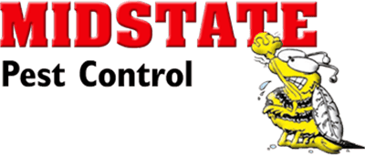 Common Pests In Cookeville And Crossville, TN | Midstate Termite & Pest