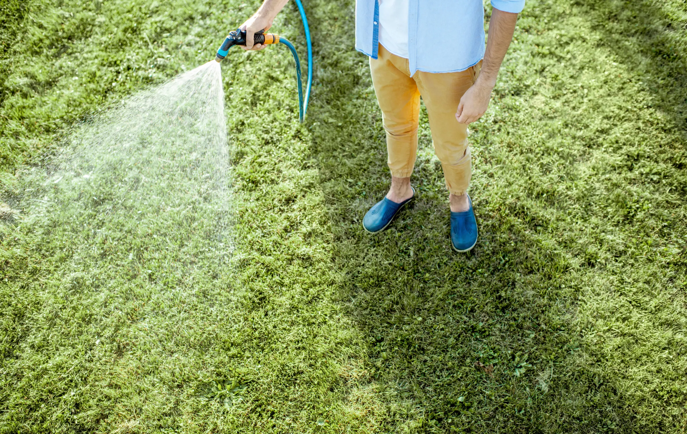 When&rsquo;s the Best Time to Water Your Lawn in South Florida? | Native Pest